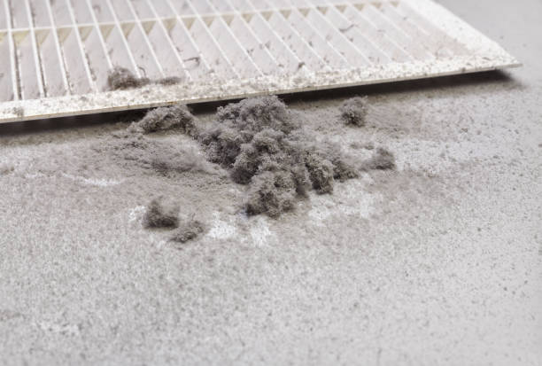 Best Commercial HVAC Duct Cleaning  in Enterprise, UT